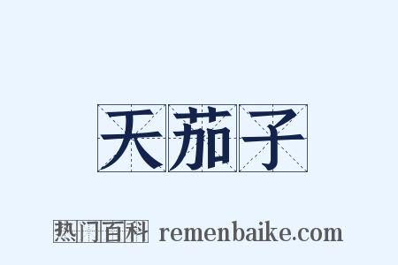 天茄子是什么意思的图片